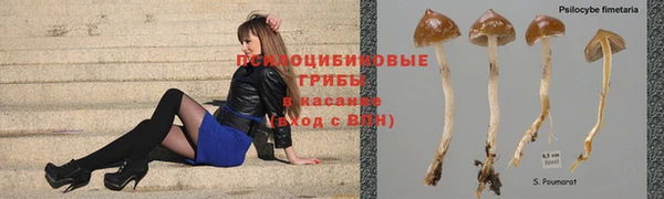 мет Балахна