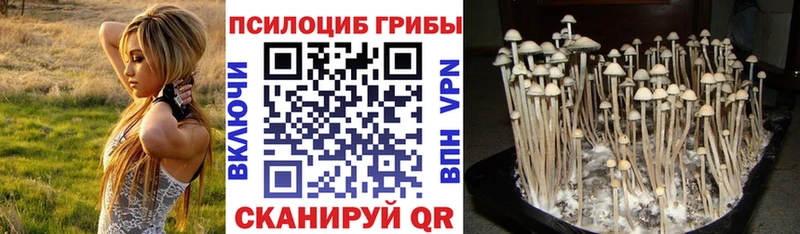 мега ONION  купить   Нефтегорск  Псилоцибиновые грибы MAGIC MUSHROOMS 
